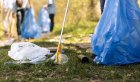 В Иркутске 3 октября пройдет общегородской субботник