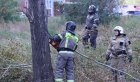 В Иркутске прошли первые осенние субботники