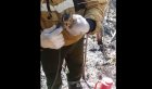 Лесные пожарные спасли зайчонка при тушении возгорания в Иркутской области