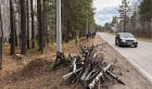 В Иркутской области на Байкальском тракте очистили лес от мусора и валежника для предотвращения пожаров