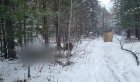В Нижнеудинском районе охотник случайно застрелил мужчину