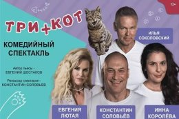 Спектакль «Три плюс кот»