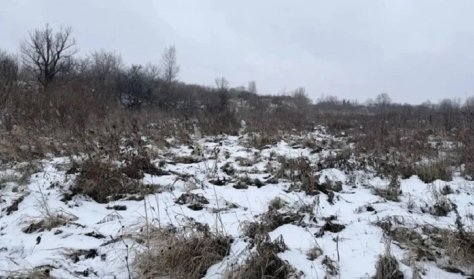 Не дошла до дома: пропавшую в Ачинске студентку нашли замерзшей