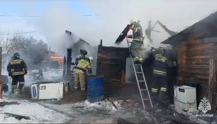 Девятилетний мальчик, спасая кошку на пожаре, получил ожоги