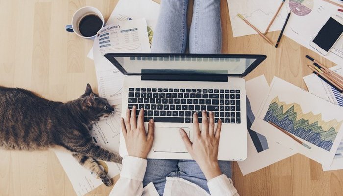Особенности удаленной работы в интернете