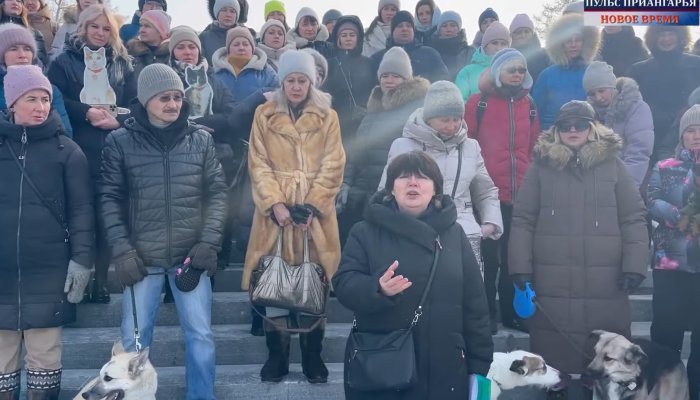 Иркутяне записали видеообращение к Путину и Кобзеву против убийства бездомных животных