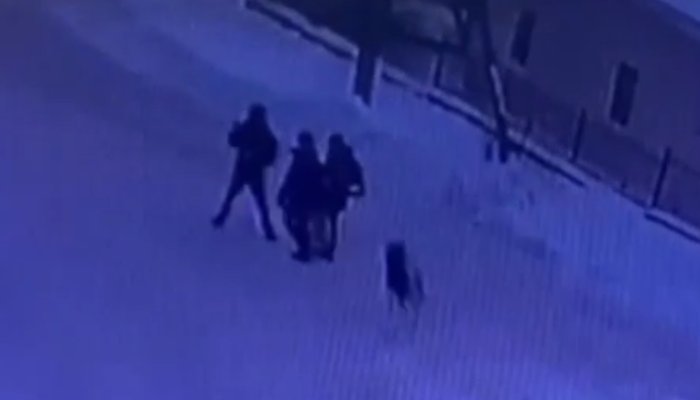 В Иркутске мальчика покусала домашняя собака
