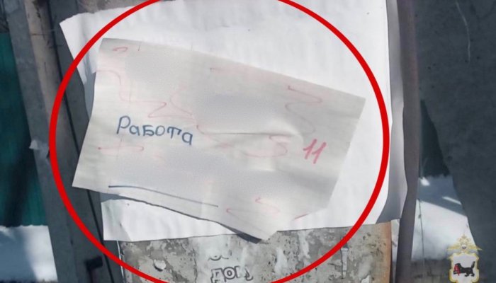 В Иркутске задержали женщину за пропаганду наркотиков