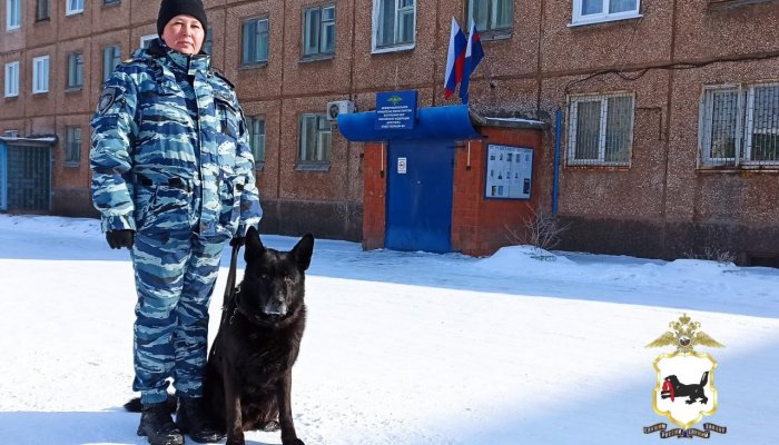 В Братске служебная собака помогла раскрыть кражу