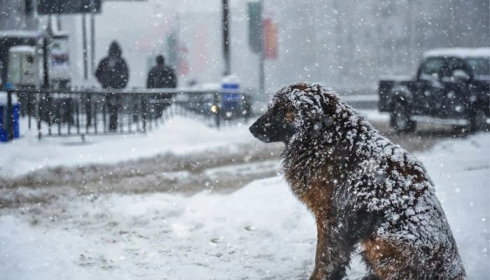 12 марта в некоторых районах Приангарья прогнозируют метели и мокрый снег