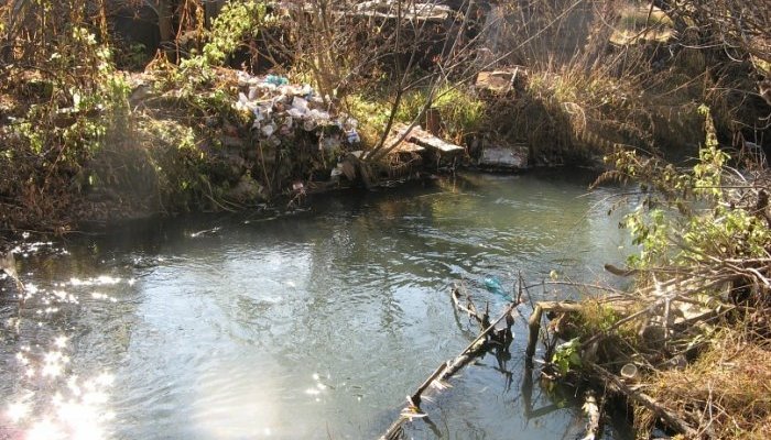 В реке Кая вновь обнаружили молибден