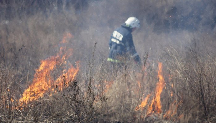 В Иркутске начались контролируемые отжиги сухой травы