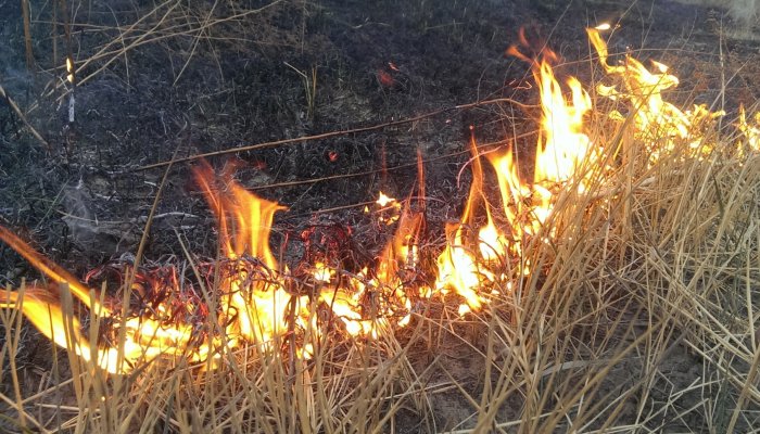 В Ленинском и Правобережном округах Иркутска пройдут отжиги сухой травы