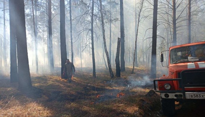 В Приангарье зафиксировали первые лесные пожары