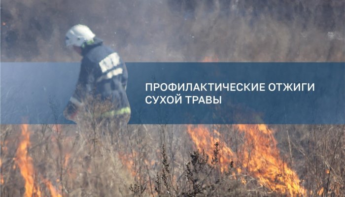 Сегодня, 20 апреля, в Ленинском районе Иркутска пройдут отжиги сухой травы