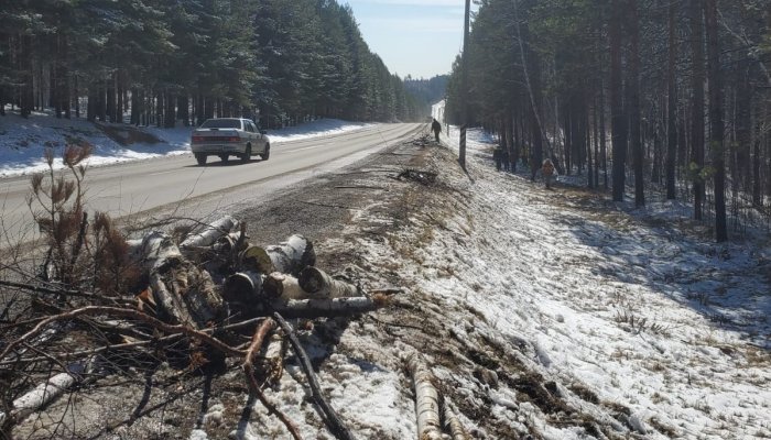 Вдоль Байкальского тракта провели уборку леса от валежника