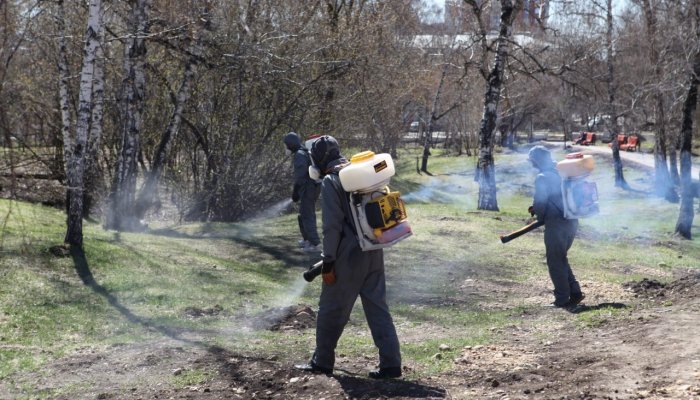 В Иркутске проведут противоклещевую обработку