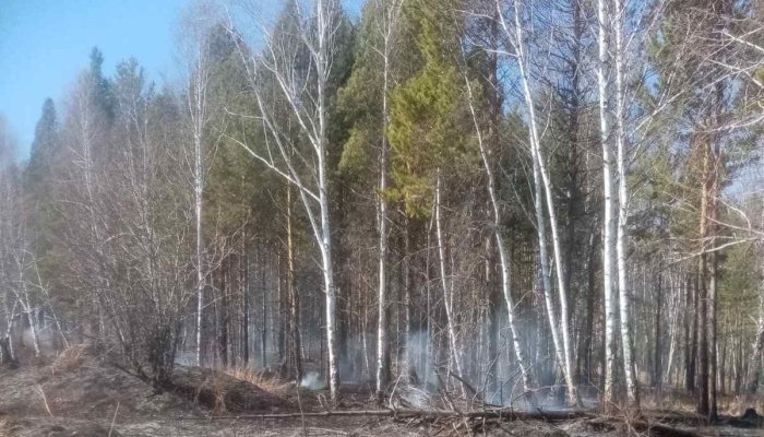 Один лесной пожар потушили в Приангарье за сутки