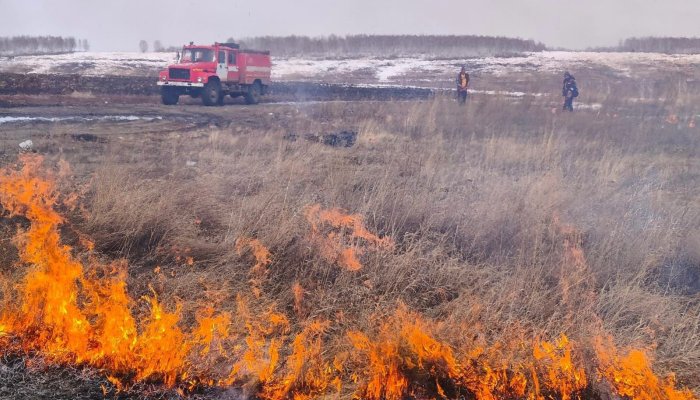 В лесном фонде Иркутской области потушили шесть пожаров