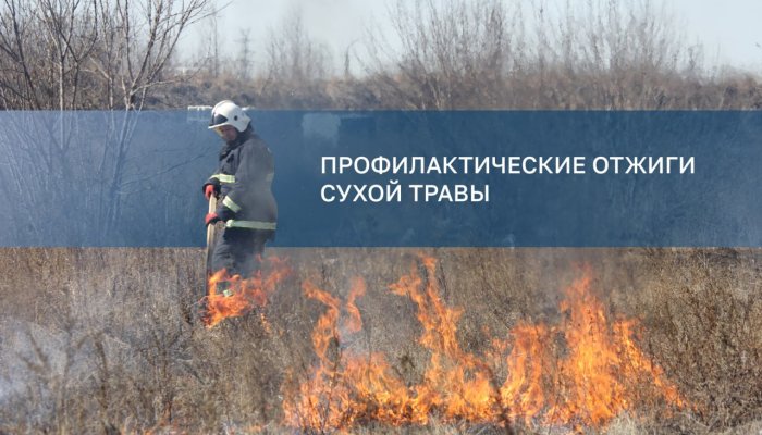 27 апреля продолжатся отжиги сухой травы в Свердловском округе Иркутска