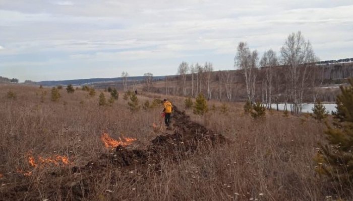 Шесть лесных пожаров потушили в Иркутской области за сутки