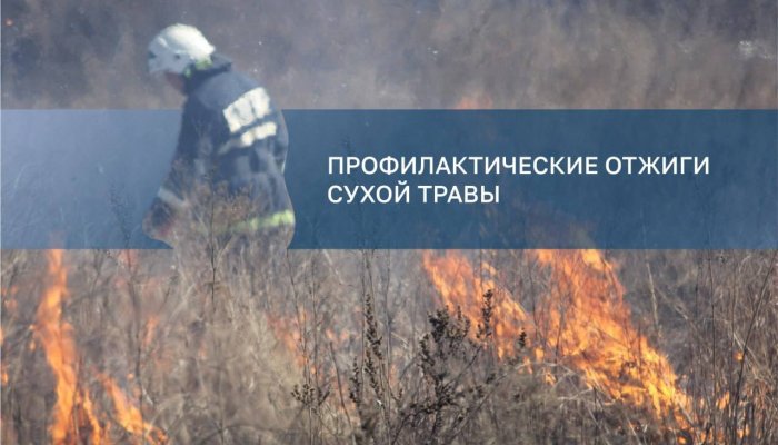 40 гектаров будут отжигать в Ленинском округе Иркутска