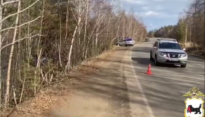 В Братске водитель насмерть сбил женщину