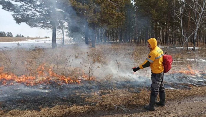 41 га лесных пожаров потушили в Иркутской области