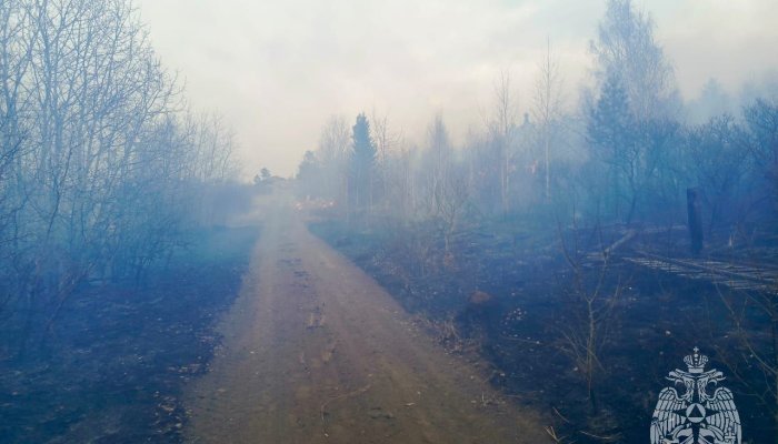 За один день в Братске сгорели 16 дач и 14 хозпостроек