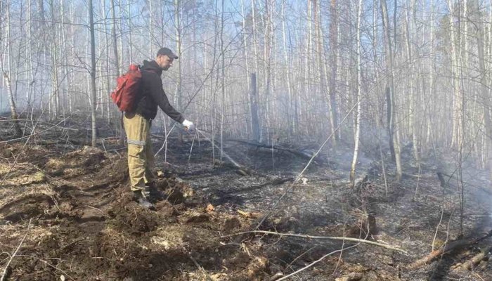 За прошедшие сутки в лесах Приангарья устранили 10 пожаров