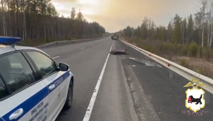 В Нижнеудинском районе погиб мотоциклист