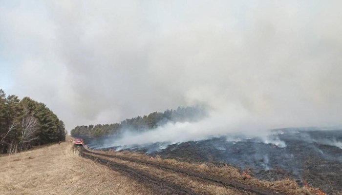 Более 145 га леса горело в Приангарье