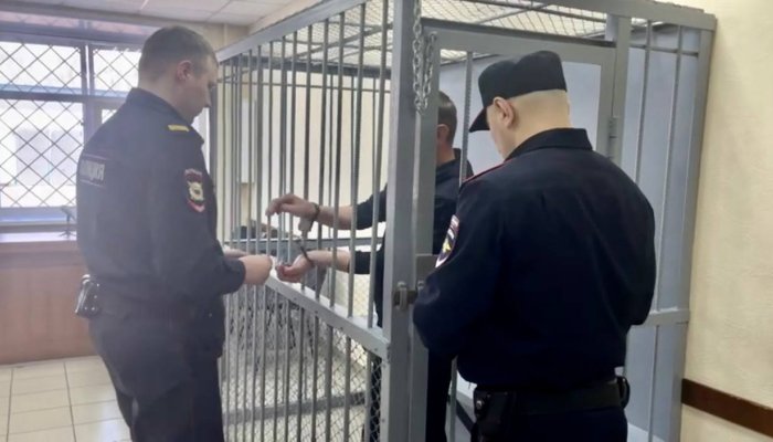 Жителя Тайшета, натравившего ротвейлера на девочку, арестовали