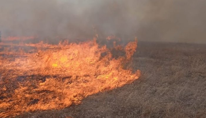 23 лесных пожара потушили за сутки в Приангарье
