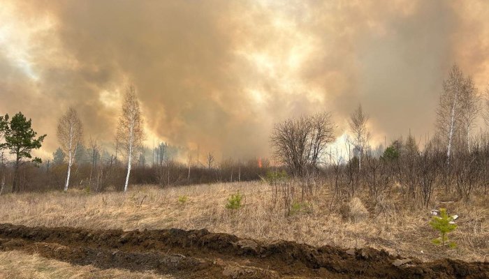 Полторы тысячи гектаров лесных пожаров потушили в Иркутской области