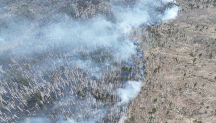 Более 2 350 га лесных пожаров потушили в Иркутской области