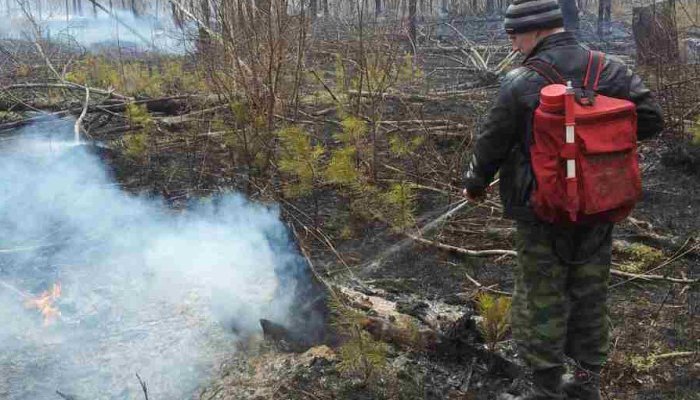 13 лесных пожаров потушили в Приангарье за сутки