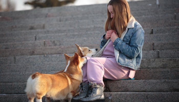 В Приангарье появится еще одно предприятие для производства сухих кормов для животных