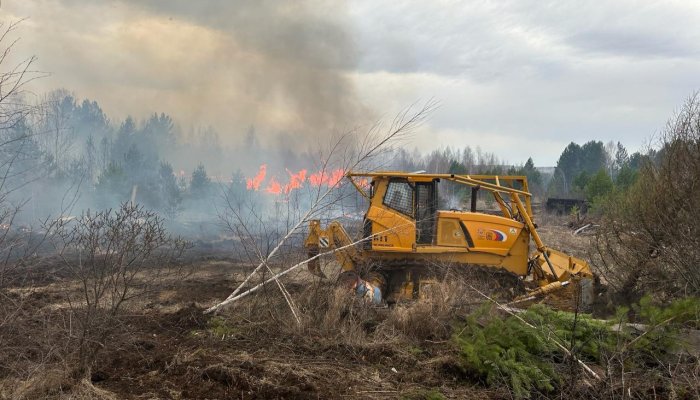 Почти 545 га лесных пожаров ликвидировали в Приангарье