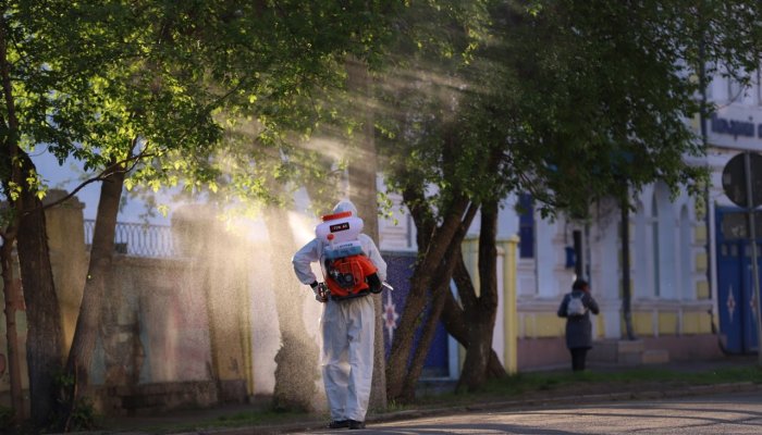 В Иркутске началась обработка деревьев от горностаевой моли