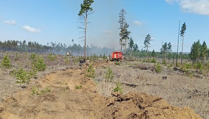 11 лесных пожаров потушили за сутки в Приангарье