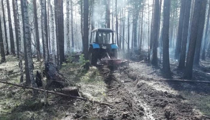 Четыре лесных пожара потушили за сутки в Приангарье