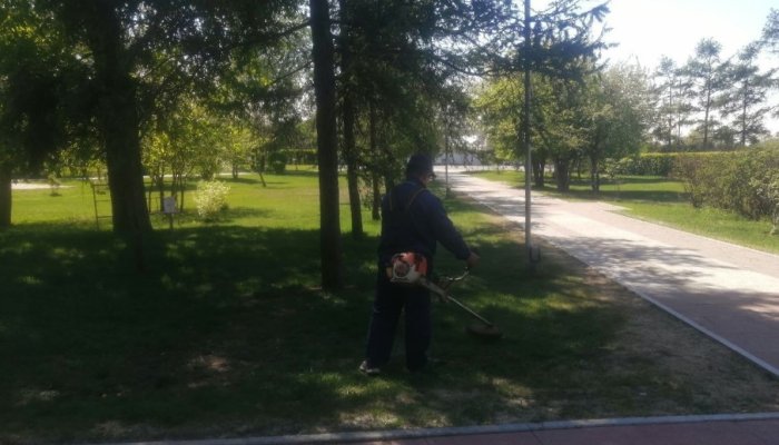 В Иркутске начался покос травы