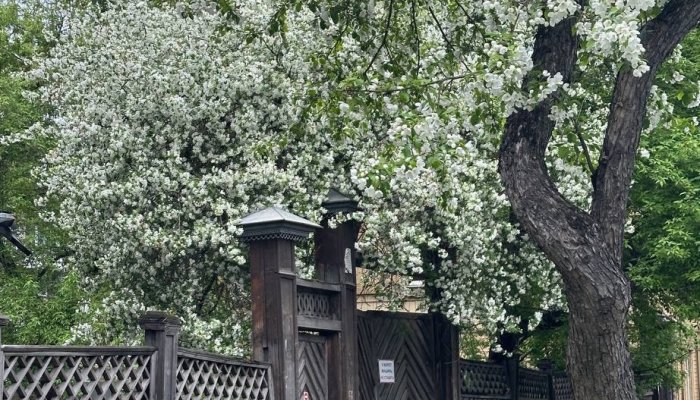 30 градусов тепла ожидается в последнее воскресенья мая в Иркутской области