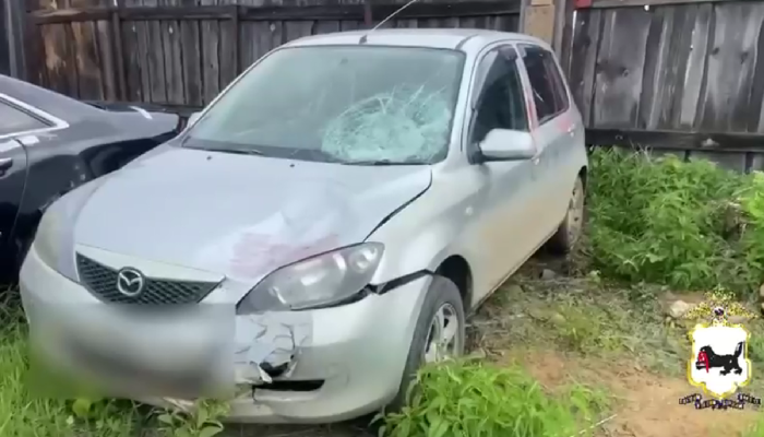В Тайшете произошло смертельное ДТП