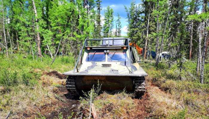 Четыре лесных пожара потушили в Иркутской области