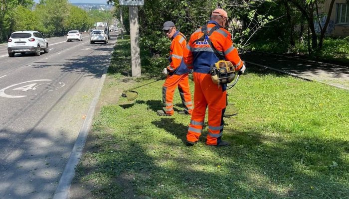 Во всех районах Иркутска косят траву