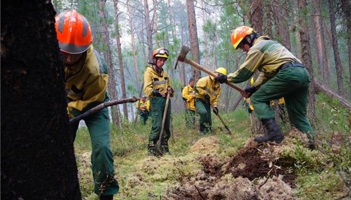 За прошедшие сутки в лесах Иркутской области потушено два пожара