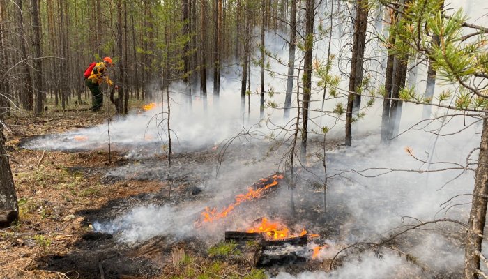Два лесных пожара потушили за сутки в Приангарье