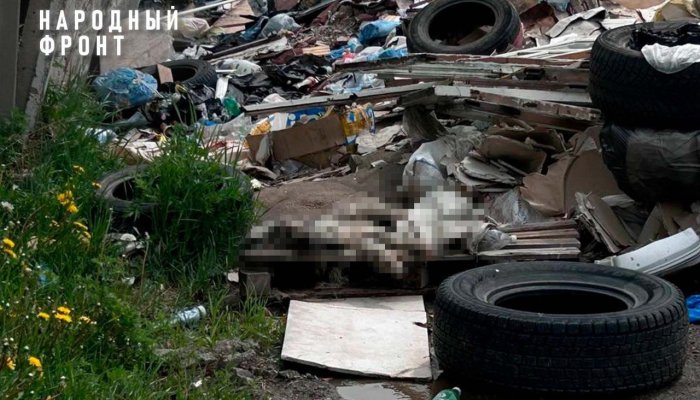 В Иркутске на берег Ушаковки выбросили мертвых собак